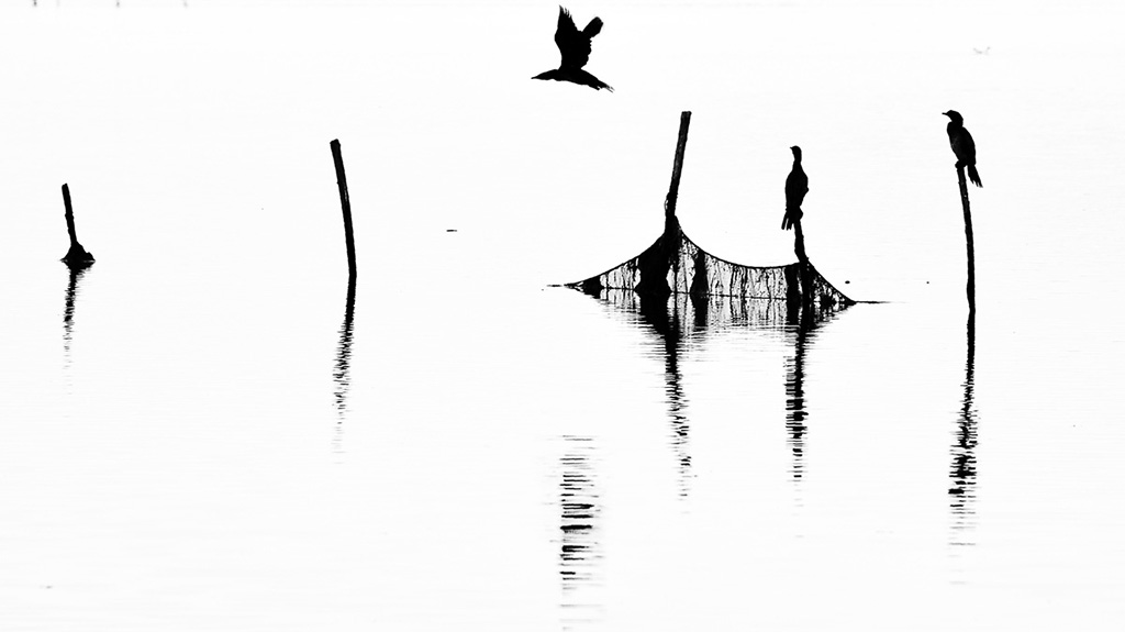 Delta del po.jpg